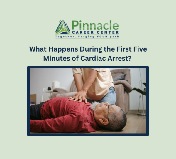 Can You Take CPR Classes Without a Healthcare Background? Complete 2026 Guide